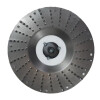 ROTO RAŠPA Ø115MM GRUBO 2,5MM RT-115G